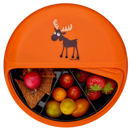 Bento DISC™ snack box | Moose