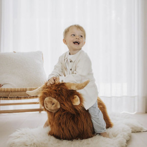 WILD&SOFT minkštas pripučiamas šokliukas, Hailando karvė