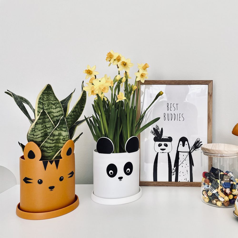 Silikoniniai vazonai