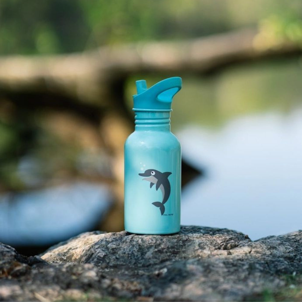 CARL OSCAR nerūdijančio plieno gertuvė, DELFINAS, 500 ml.