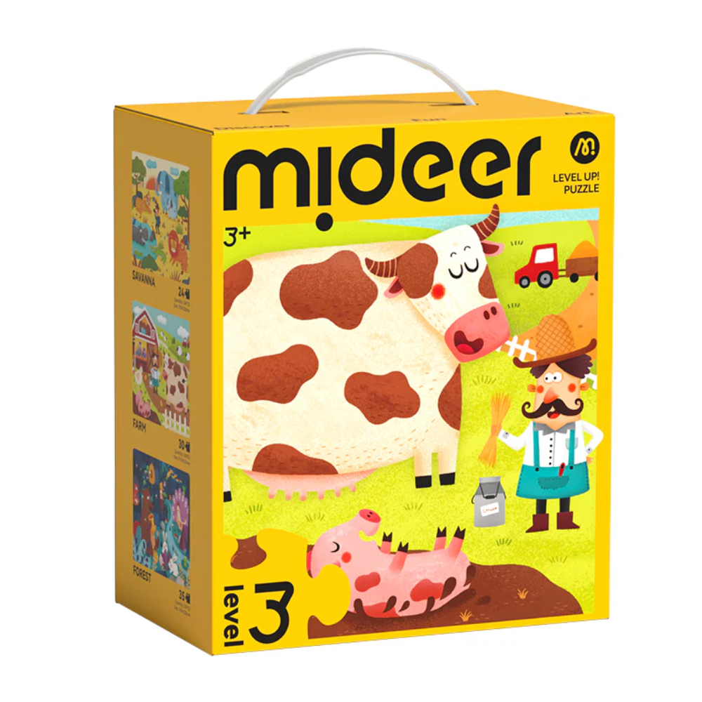 MIDEER Level up dėlionės - 3 lygis, Pasaulis aplink mus