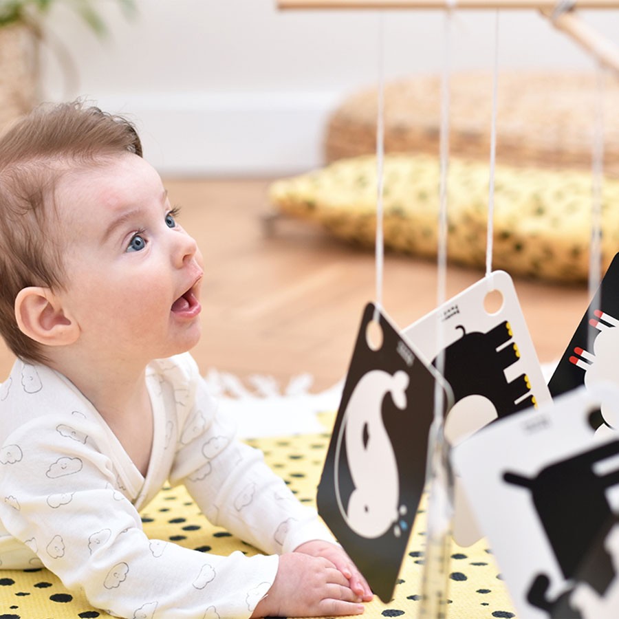 BANANA PANDA lavinamosios kontrastinės kortelės 3+