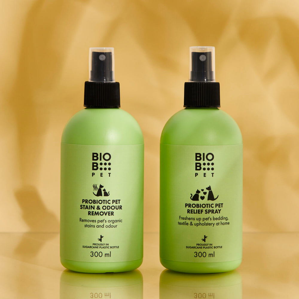 BIOB augintinių kvapo ir dėmių šalinimo priemonė „PET Stain & Odor Spray”