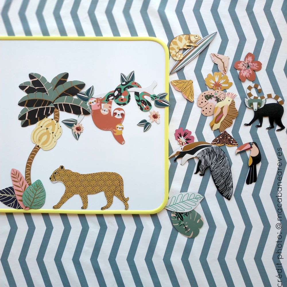 MA CABANE À RÊVES MAGNETAI, DŽIUNGLĖS