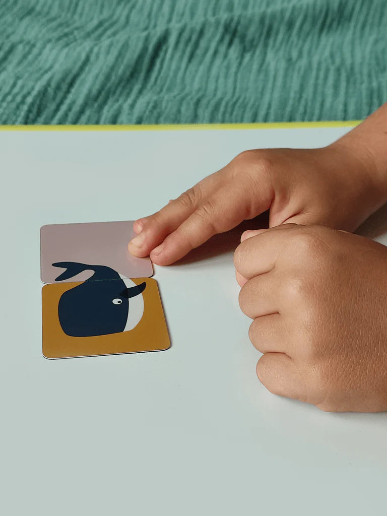 MA CABANE À RÊVES MAGNETAI, LEDYNŲ GYVŪNAI PUZLĖ