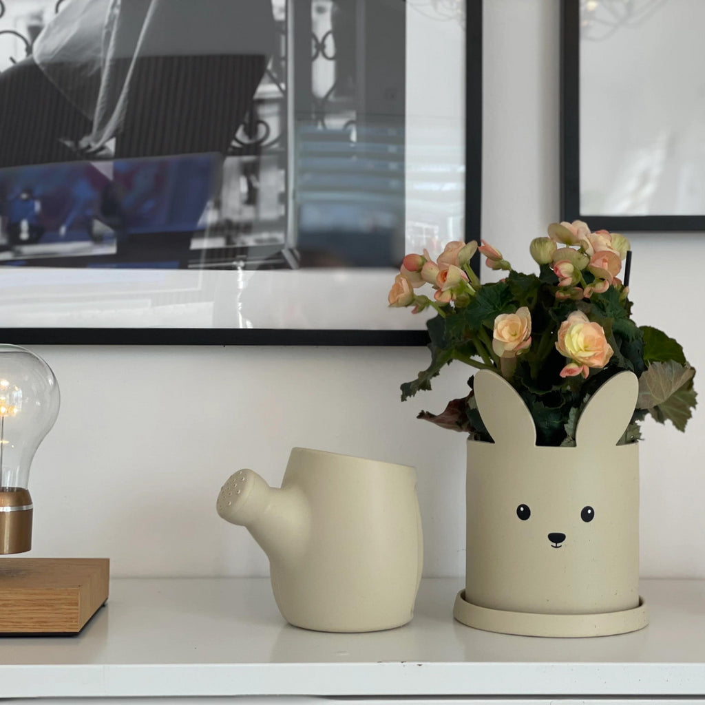 HAPPILY Silikoninis vazonas, ZUIKIS, ŽALSVA