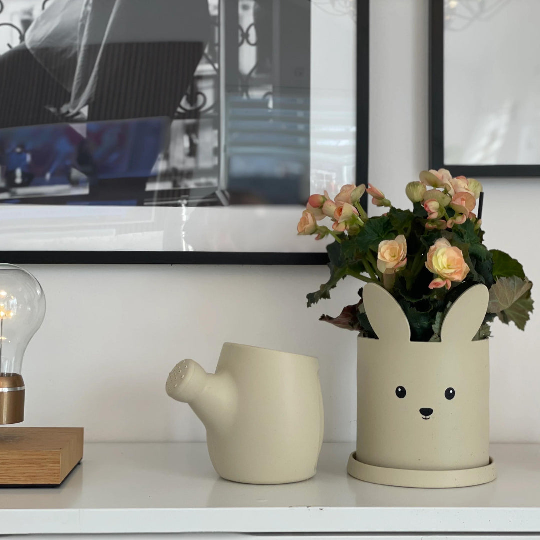 HAPPILY Silikoninis vazonas, ZUIKIS, ŽALSVA