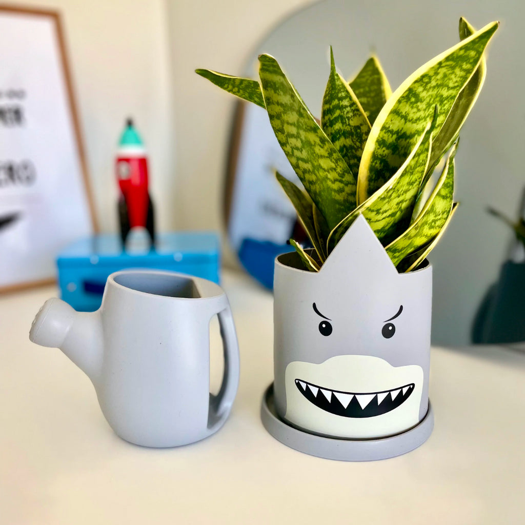 HAPPILY SILIKONINIS VAZONAS RYKLYS, PILKAS