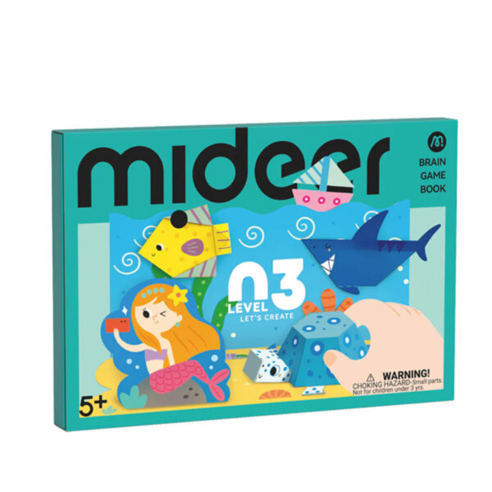 MIDEER Level 3, Kūrybiniai projektai