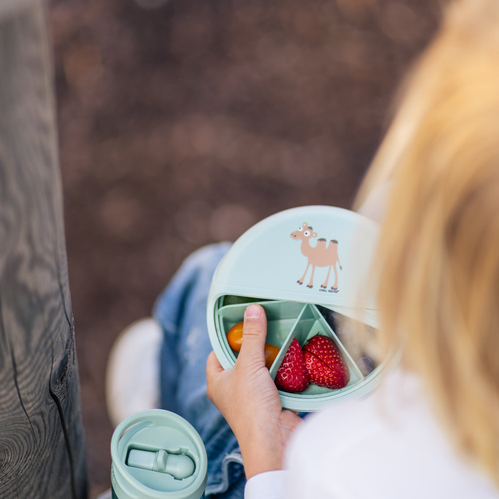 CARL OSCAR besisukanti užkandžių dėžutė, SNACK DISC, KUPRANUGARIS, 15 cm.