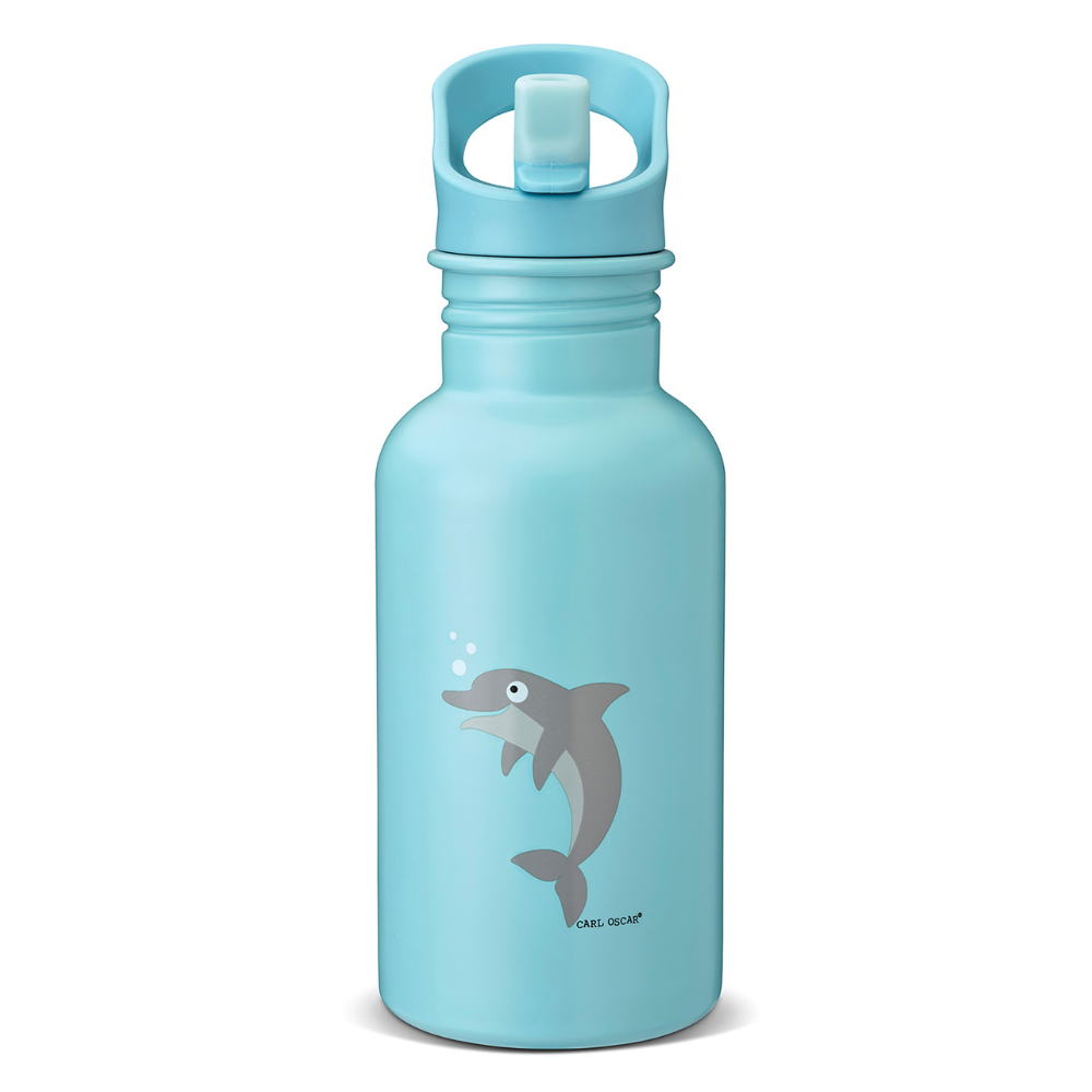 CARL OSCAR nerūdijančio plieno gertuvė, 500 ml.