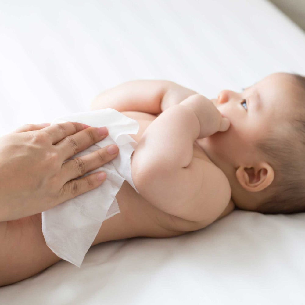 PURE BEGINNINGS biologiškai suyrančios kūdikių servetėlės su ekologišku alaviju, 192 vnt.