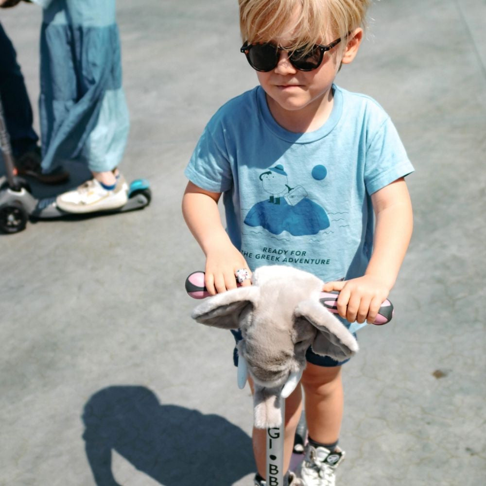 WILD&SOFT aksesuaras vaiko dviračiui/paspirtukui , DRAMBLYS