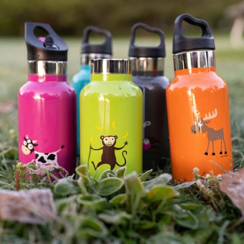 CARL OSCAR termo gertuvė, BRIEDIS, 350 ml.