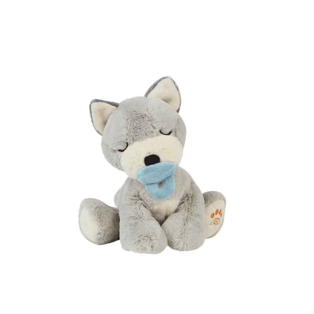 OLLI ELLA BINKY ŠUNIUKAS BANJO