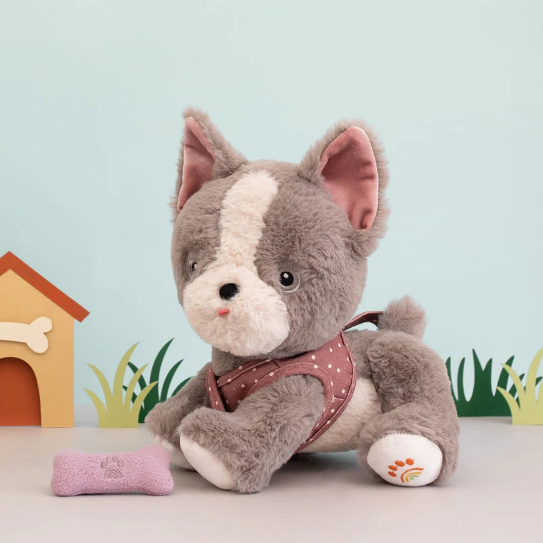 OLLI ELLA DINKUM ŠUNIUKAS GIZMO