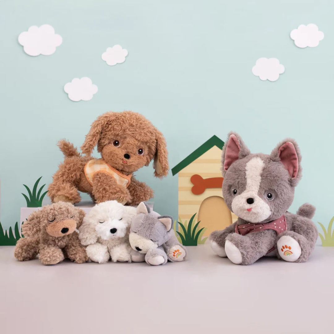 OLLI ELLA DINKUM ŠUNIUKAS GIZMO