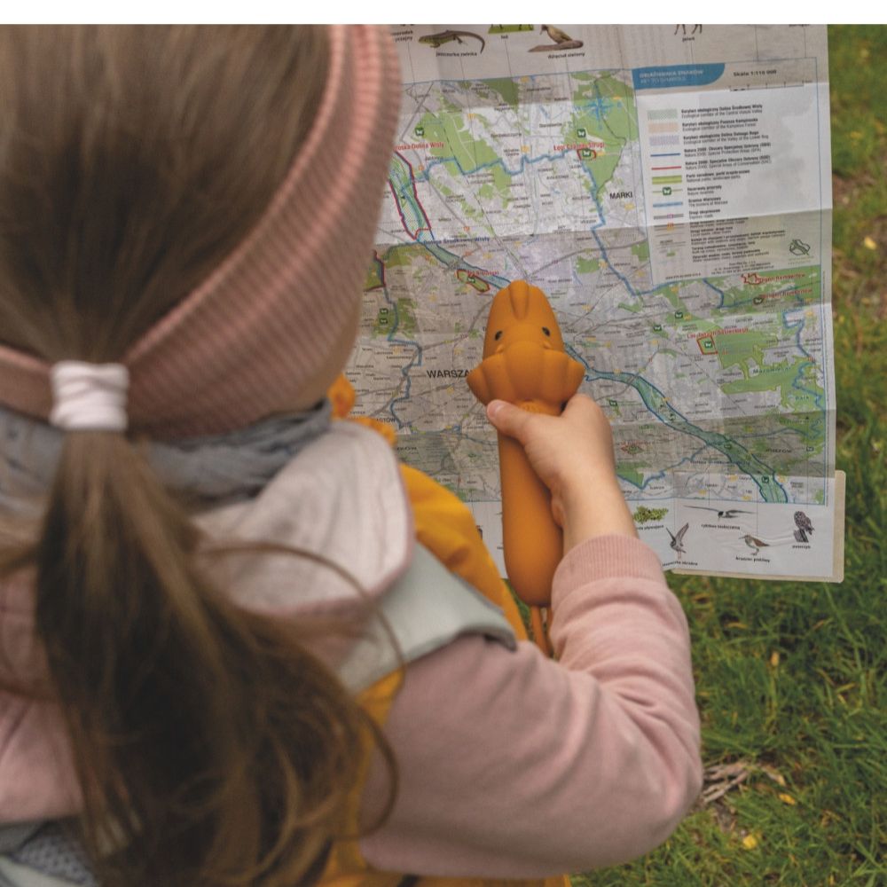 RABBIT AND FRIENDS Prožektorius vaikams, Liūtas